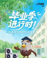 这波offer接不接!“神仙同事”闪亮登场!